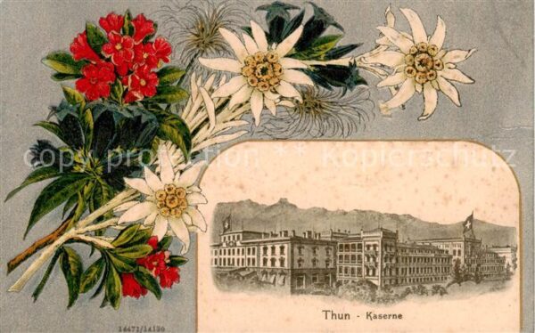 Thun BE Kaserne Blumen