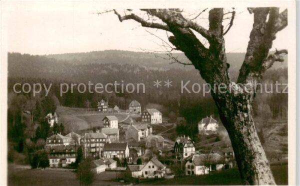 Le Hohwald Panorama