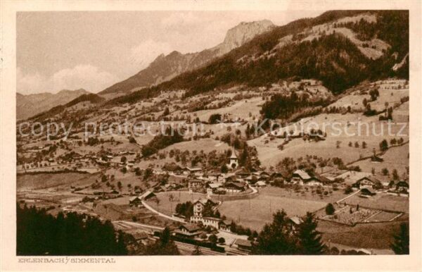 Erlenbach Simmental Panorama