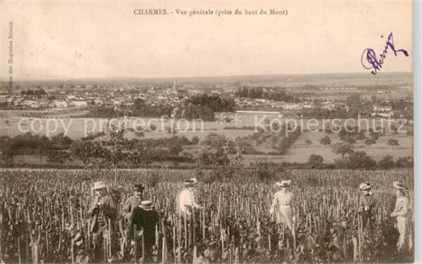 Charmes d Epinal 88 Vosges Vue Generale prise du haut du Mont