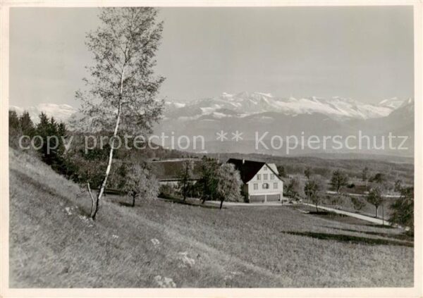 Wald  ZH Panorama Alpen
