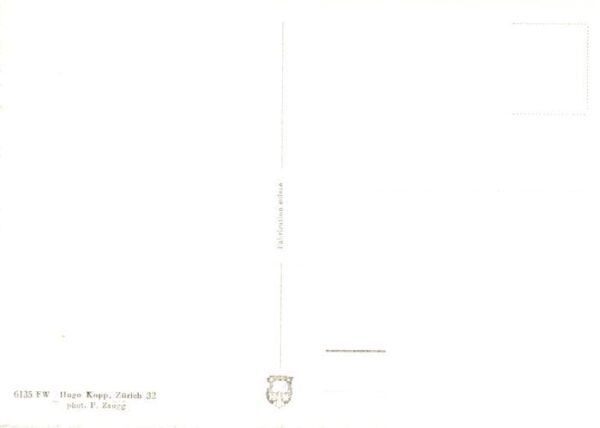 Kaltenbach Steckborn TG Fliegeraufnahme – Bild 2
