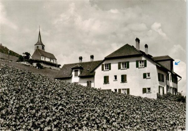 Ligerz Bielersee BE Hotel