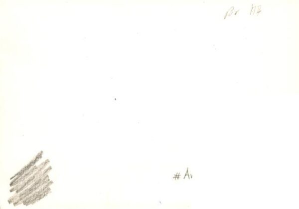 Arosa GR Teilansicht – Bild 2