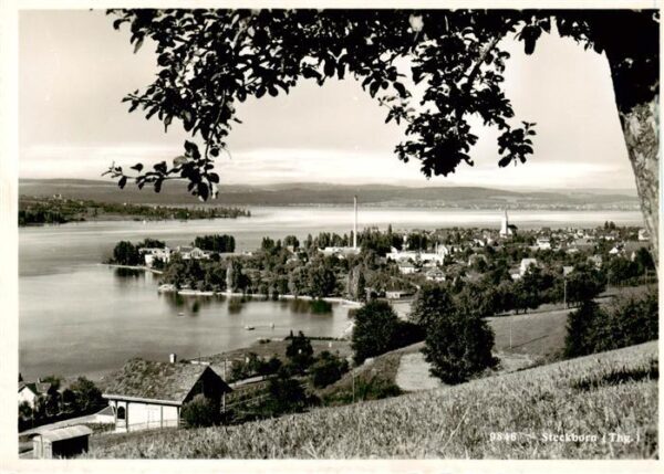 Steckborn TG Panorama