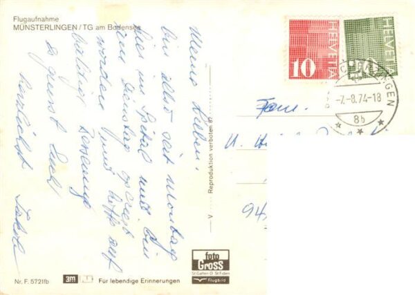 Muensterlingen TG Fliegeraufnahme mit Bodensee – Bild 2