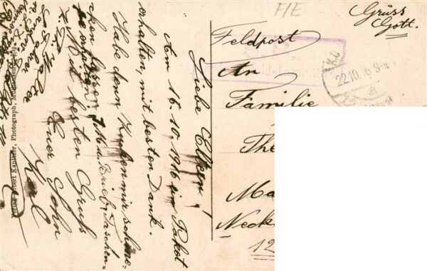 Ensisheim 68 Haut-Rhin Hauptstrasse – Bild 2