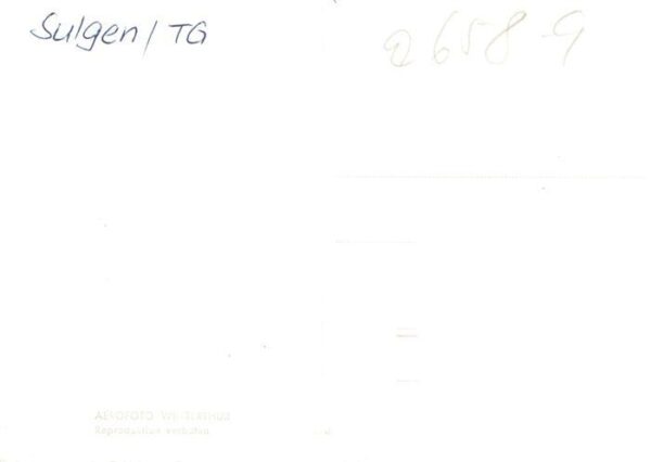 Sulgen TG Fliegeraufnahme – Bild 2