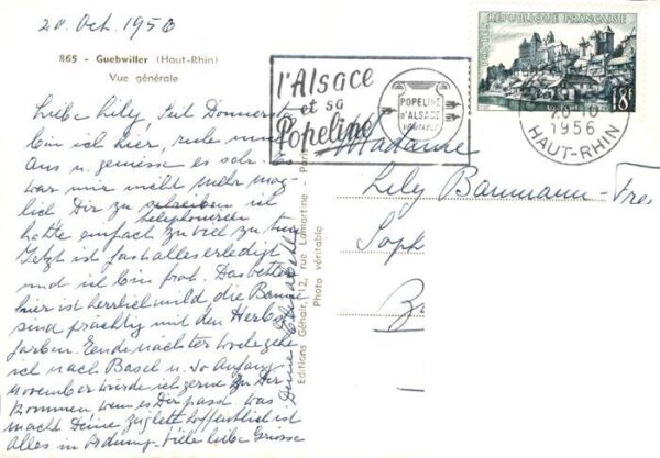 Guebwiller Elsass Vue generale – Bild 2
