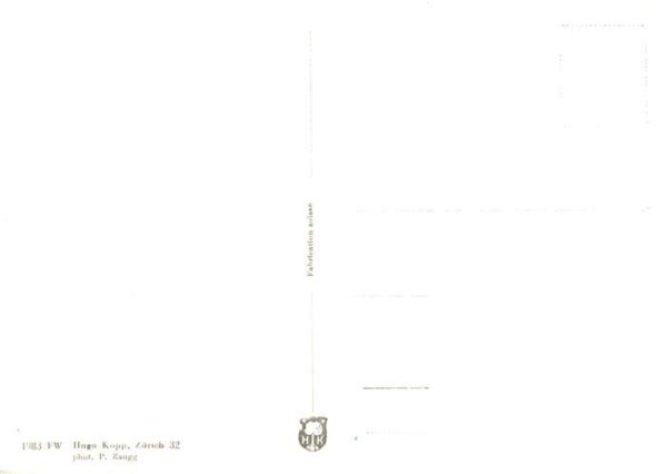 Brusio TI Fliegeraufnahme – Bild 2
