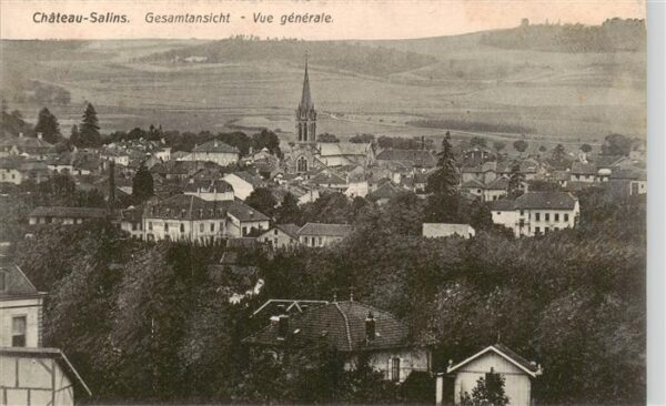 Chateau-Salins 57 Moselle Vue generale
