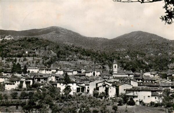 Arzo TI Panorama