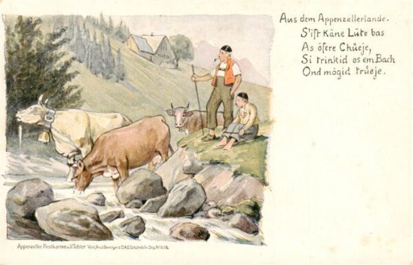 Appenzeller Land IR Kühe mit Kuhhirten