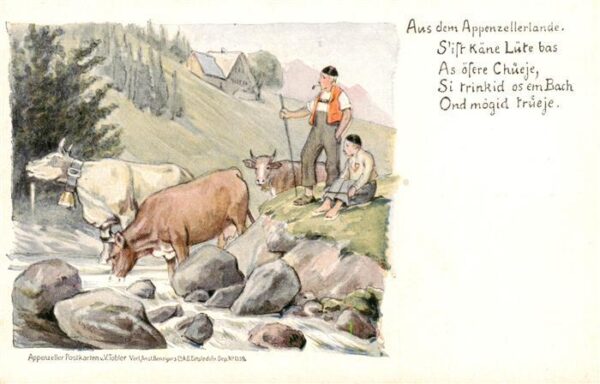 Appenzeller Land IR Kühe mit Kuhhirten