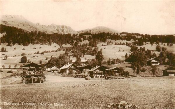 Diablerets Diablerets Les Cape du Moine