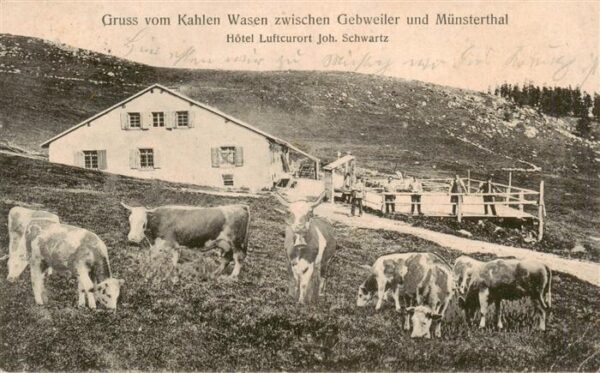 Kahlenwasen Alsace zwischen Gebweiler und Münsterthal Hote