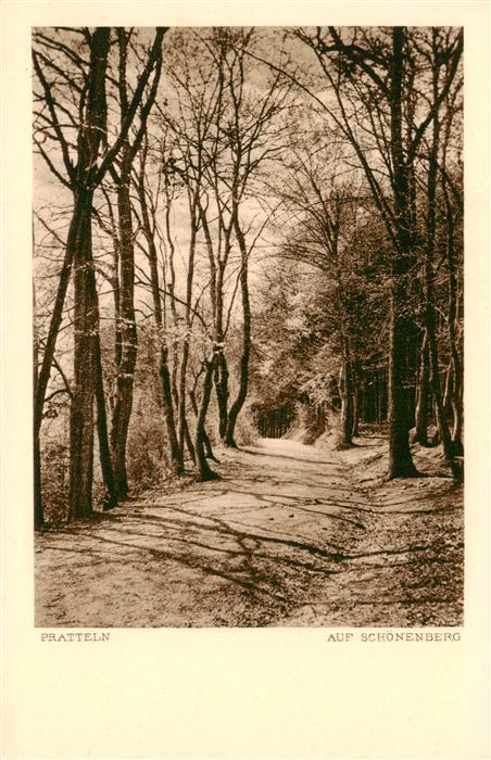 Pratteln BL Auf Schönenberg