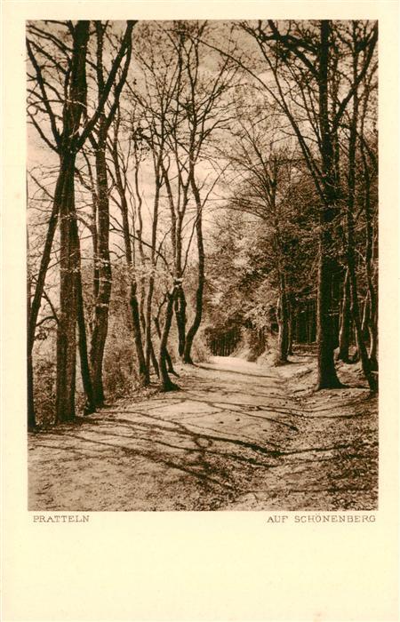 Pratteln BL Auf Schönenberg