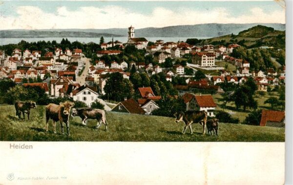 Heiden AR Panorama Viehweide