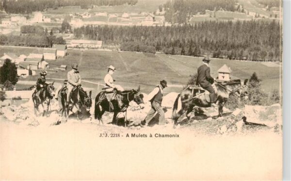 Chamonix 74 Haute-Savoie A Mulets Lasttiere