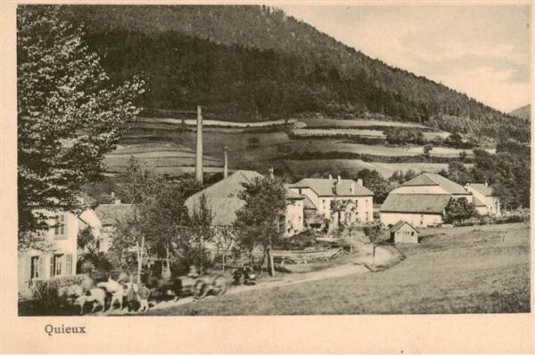 Quieux Le Saulcy 88 Vosges Panorama