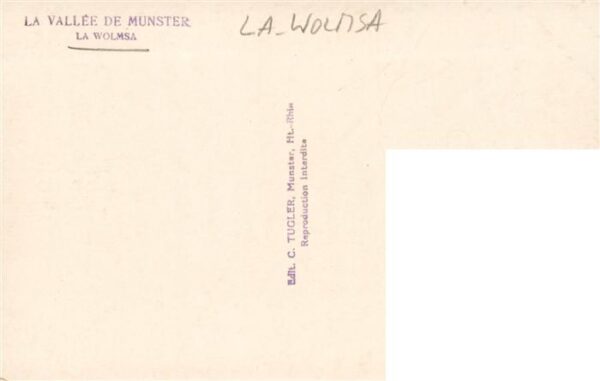 La Wolmsa Muenster Elsass Munster 68 Als La Vallee de Munster – Bild 2