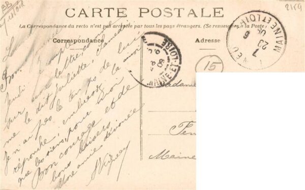 Thouarce 49 Maine-et-Loire Le Neuf-Bourg – Bild 2