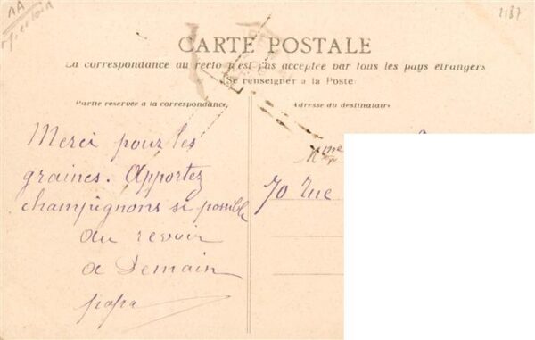 Combree 49 Maine-et-Loire Les Hommeaux – Bild 2