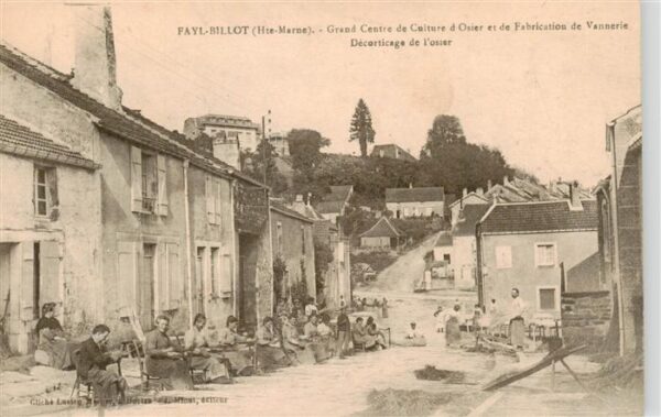Fayl-Billot 52 Haute-Marne Grand Centre de Cuiture d’Osier et de F