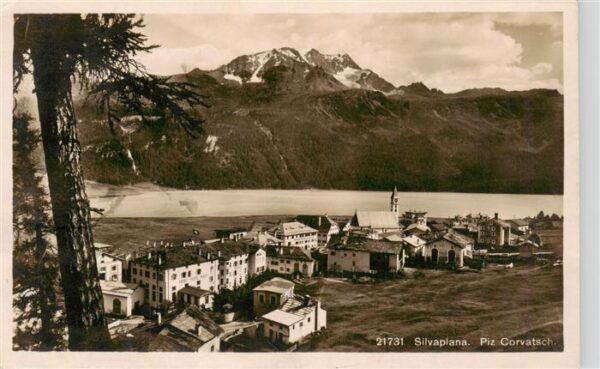 Silvaplana GR Panorama mit Piz Corvatsch