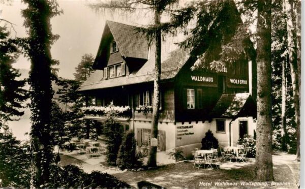 Brunnen  SZ Hotel Waldhaus Wolfsprung