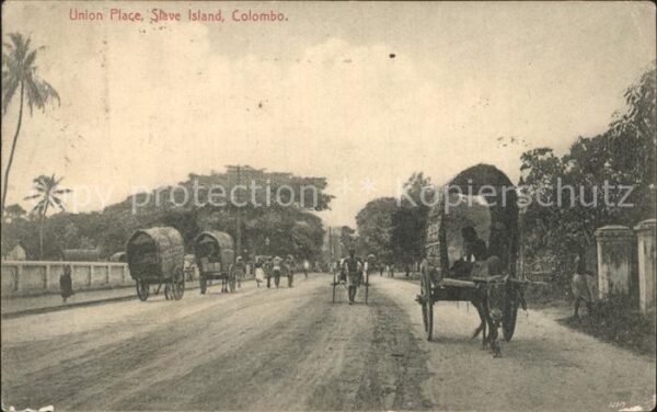 Colombo Ceylon Sri Lanka Union Place Slave Island Ochsenkarren