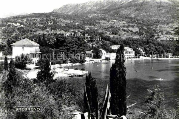 Srebreno Panorama
