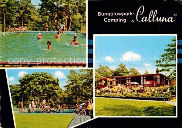 Ommen Overijssel Bungalowpark Calluna