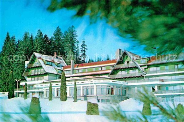 Timisu de Sus Hotel Timis
