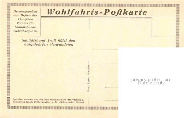 Militaria WK1 Deutscher Schäferhund Rotes Kreuz Sanit – Bild 2