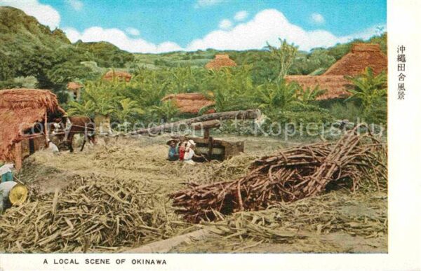 Okinawa Local Scene Landwirtschaft