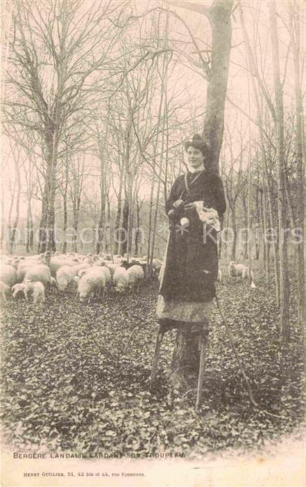 Schafe Bergere Landaise