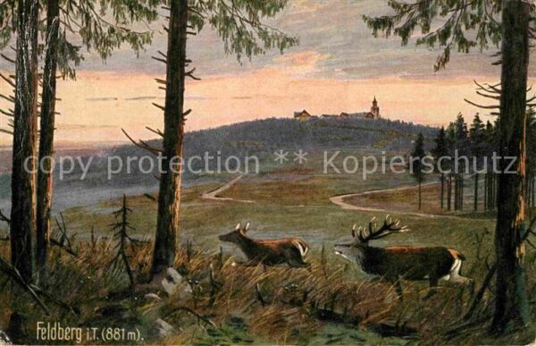 Verlag Wiedemann WIRO Nr. 2071 B Feldberg Taunus Hirsch