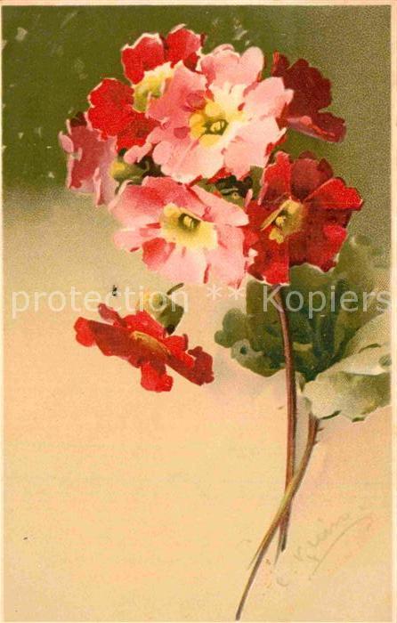 Klein Catharina Kuenstlerlitho Blumen Litho