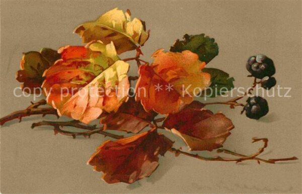Klein Catharina Kuenstlerlitho Herbstlaub Litho