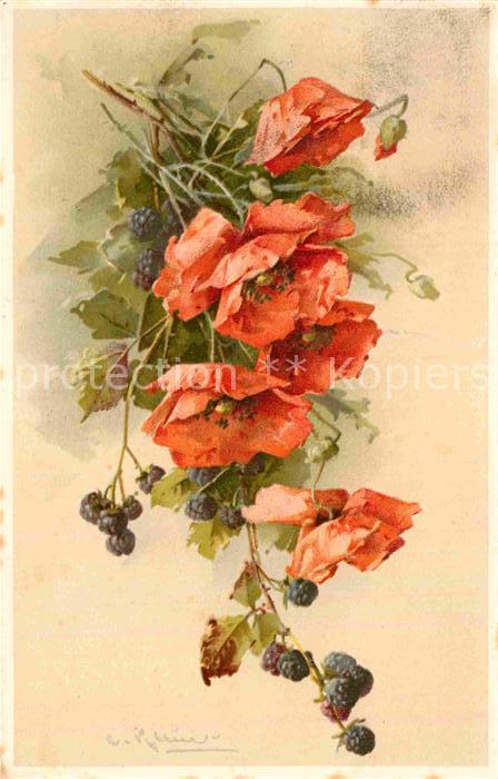 Klein Catharina Kuenstlerlitho Blumen Brombeeren Litho