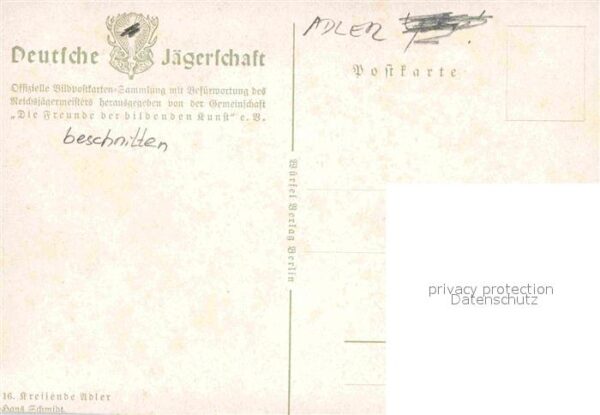 Kuenstlerkarte Hans Schmidt Kreisende Adler – Bild 2
