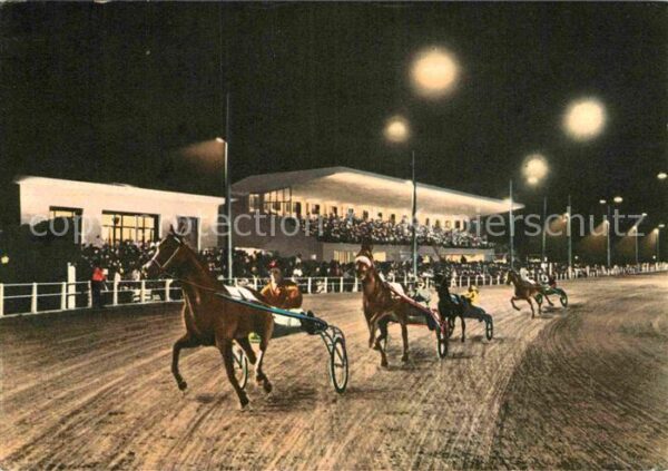 Pferdesport Pferderennen Reitsport Ippodromo Sesana Notturno Montecatini T