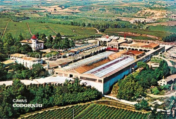 Cavas Codorniu Fliegeraufnahme Wein