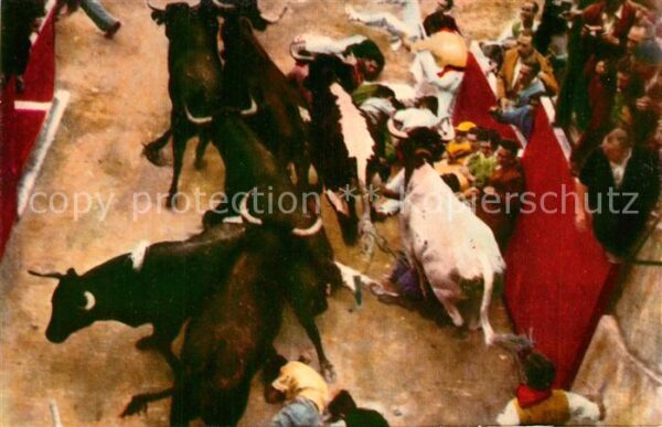 Pamplona Navarra Etrada plaza los toros pasan por encima