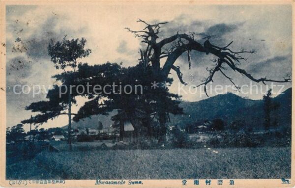Suma Japan Murasamedo