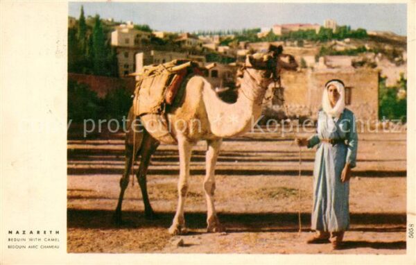 Nazareth Israel Beduin with Camel