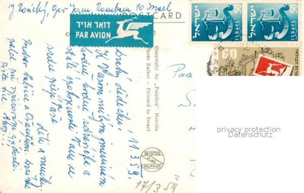 Nazareth Israel Beduin with Camel – Bild 2