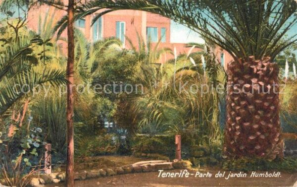 Tenerife Humboldt Garten